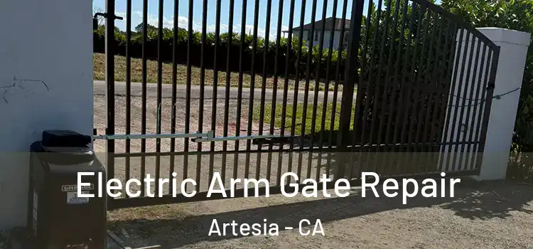 Electric Arm Gate Repair Artesia - CA